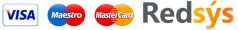 pago seguro dersys web